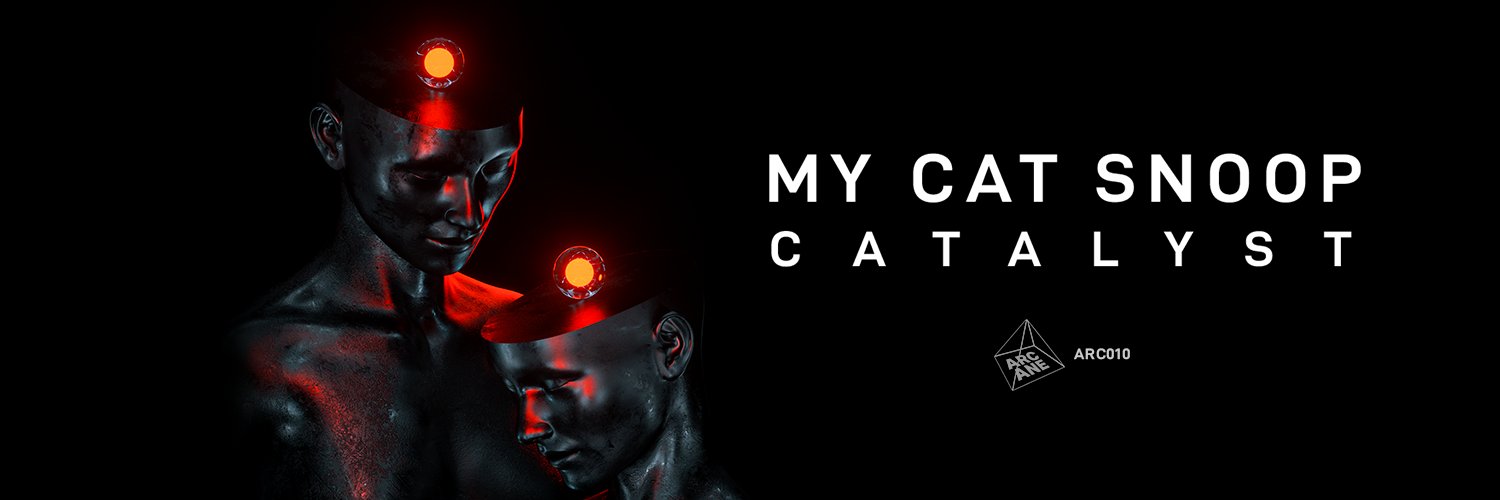 MyCatSnoop's profile banner image