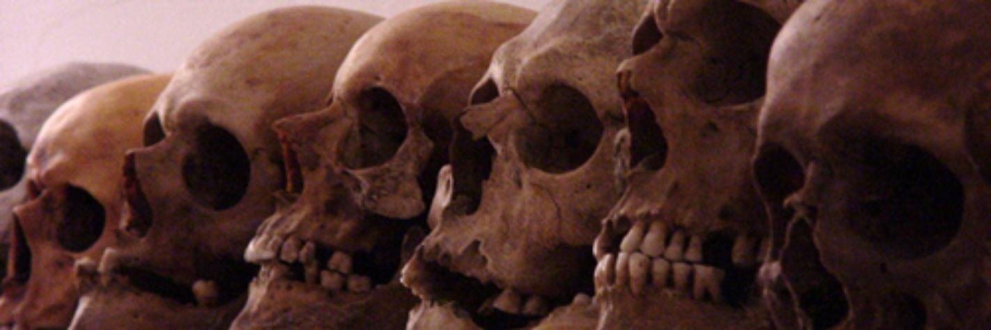 SavageMouse's profile banner image