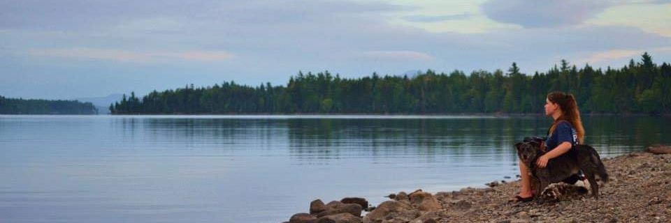 KatAndDawg's profile banner image