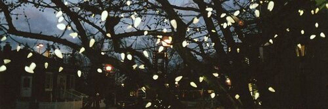 antonelaramoa's profile banner image