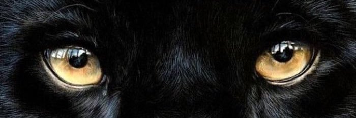 oiyasmin's profile banner image
