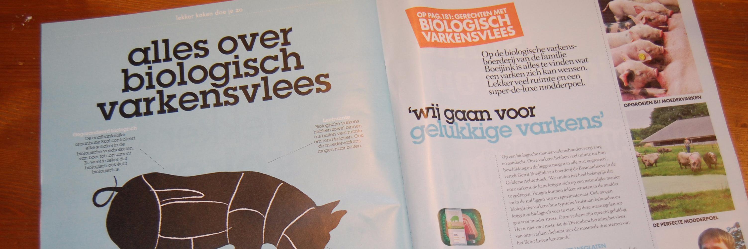 Biovarken's profile banner image