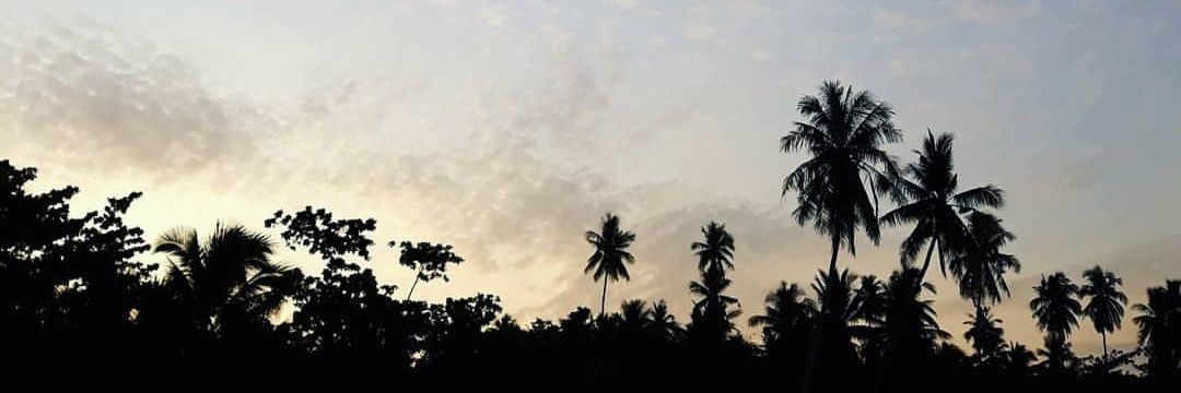 myleeeey's profile banner image