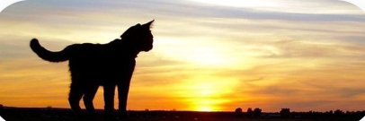 TrustSameen's profile banner image