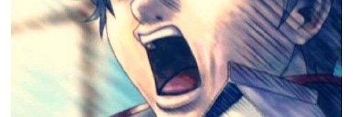 sakata index banner