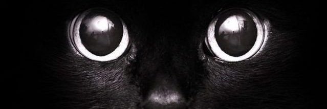 CicatrixManett's profile banner image