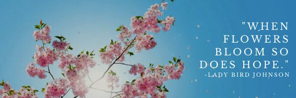 ConnieRanieri Profile Banner