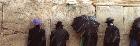 Testa_Serpente's profile banner image
