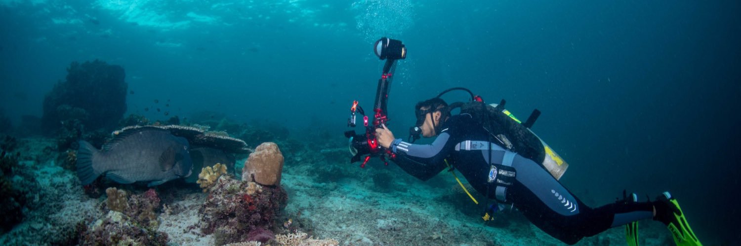 Shinto | FloodedCamera.eth banner