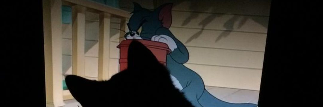 yec_man's profile banner image