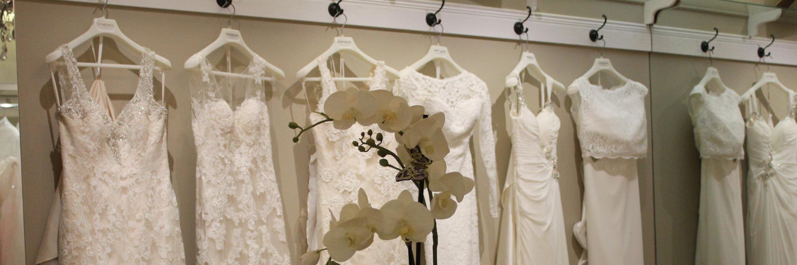 Bridal_Creation's profile banner image