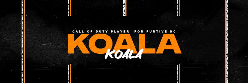 Koala banner
