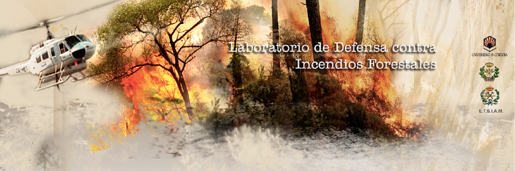 F. Rodriguez y Silva banner