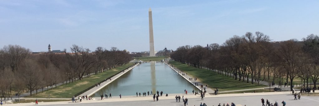 Alex Taylor banner