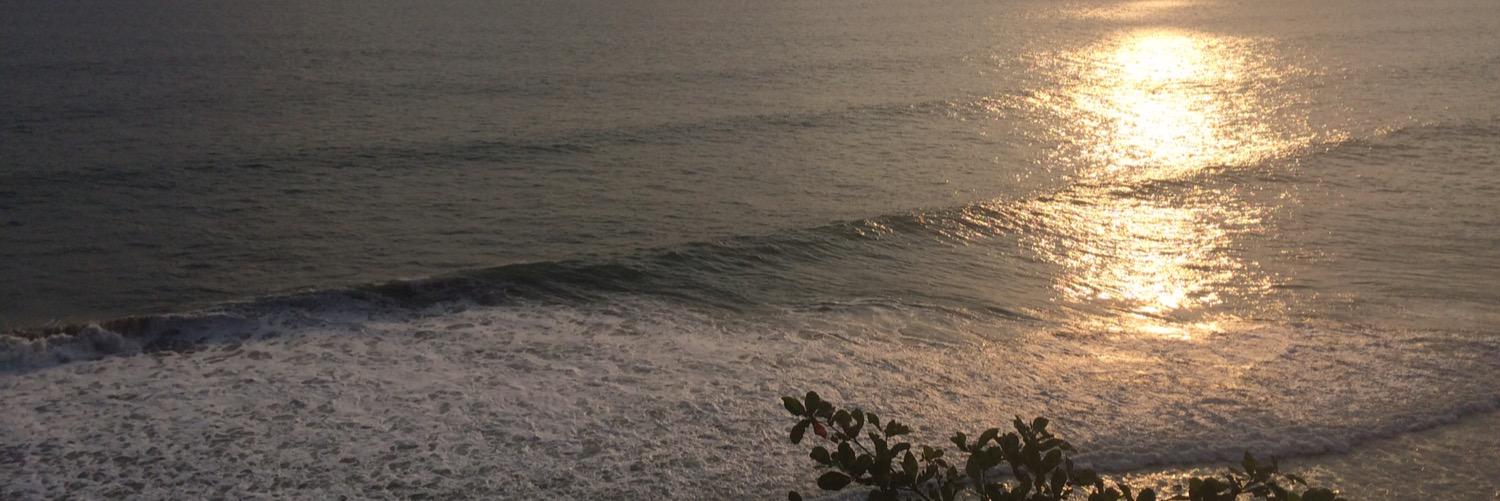 eddtempleton's profile banner image
