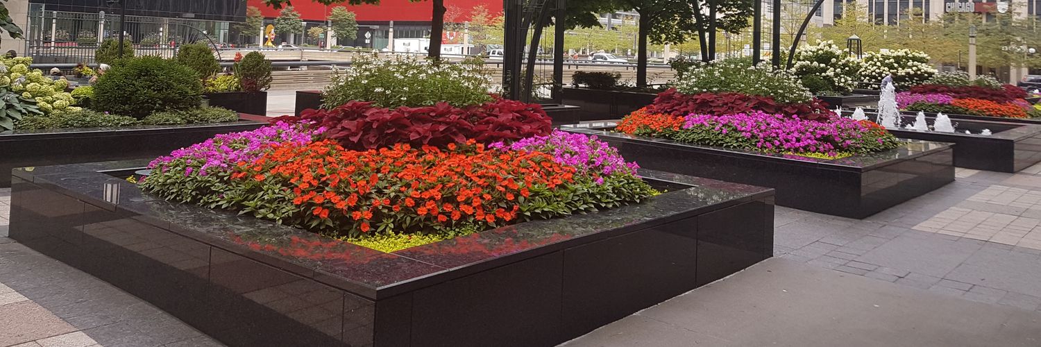 Catherine Deen banner