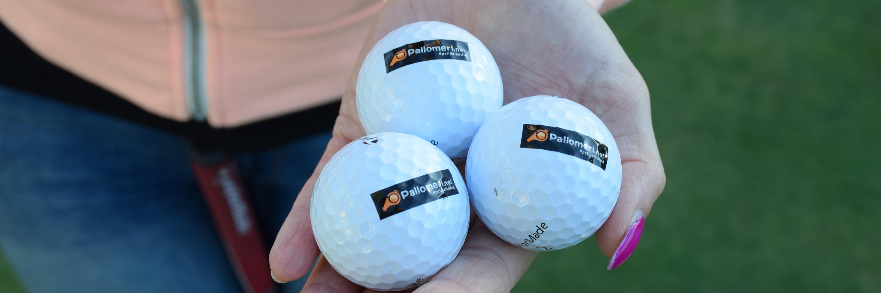 Pallomeri.net banner