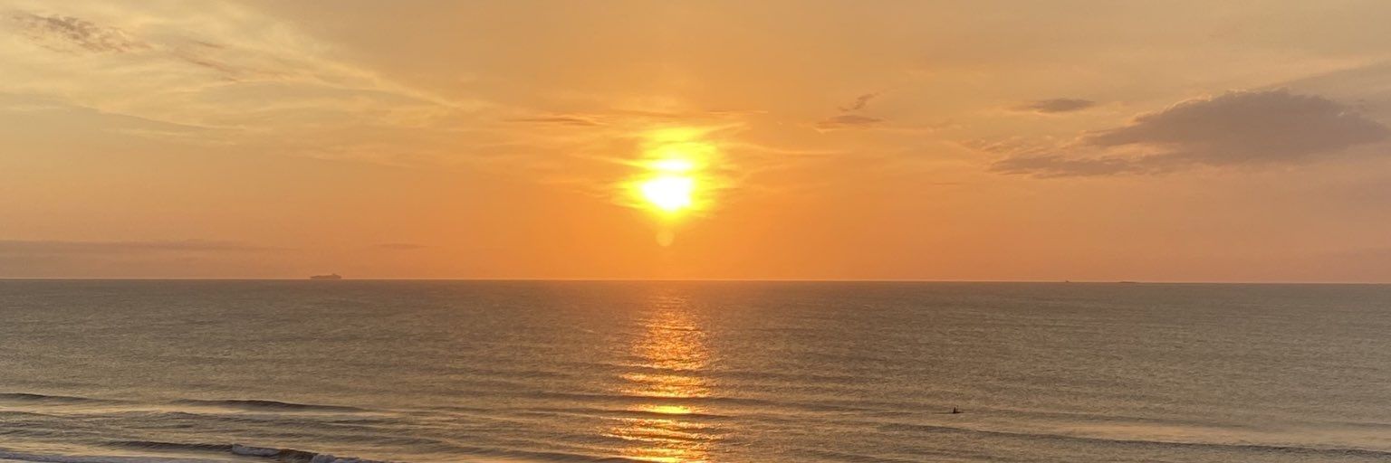 Dr. Lee Marvin 3636a20 banner