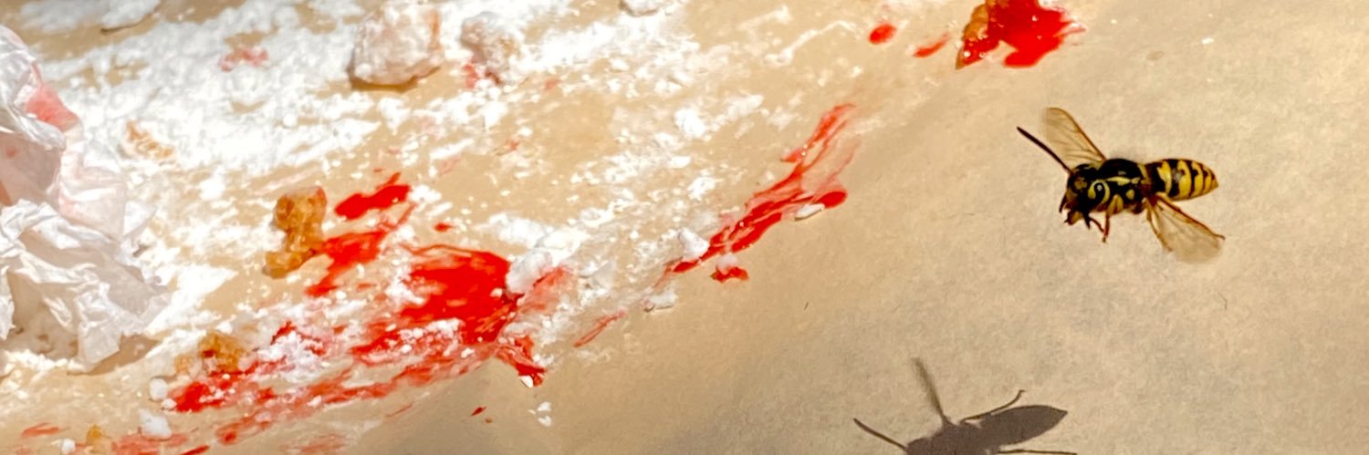 AndieMosby's profile banner image