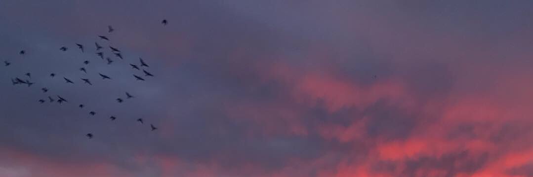 berkercaann's profile banner image