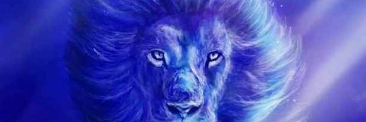 el_rolly20's profile banner image