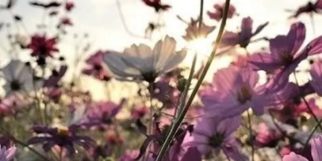 classybelle88's profile banner image