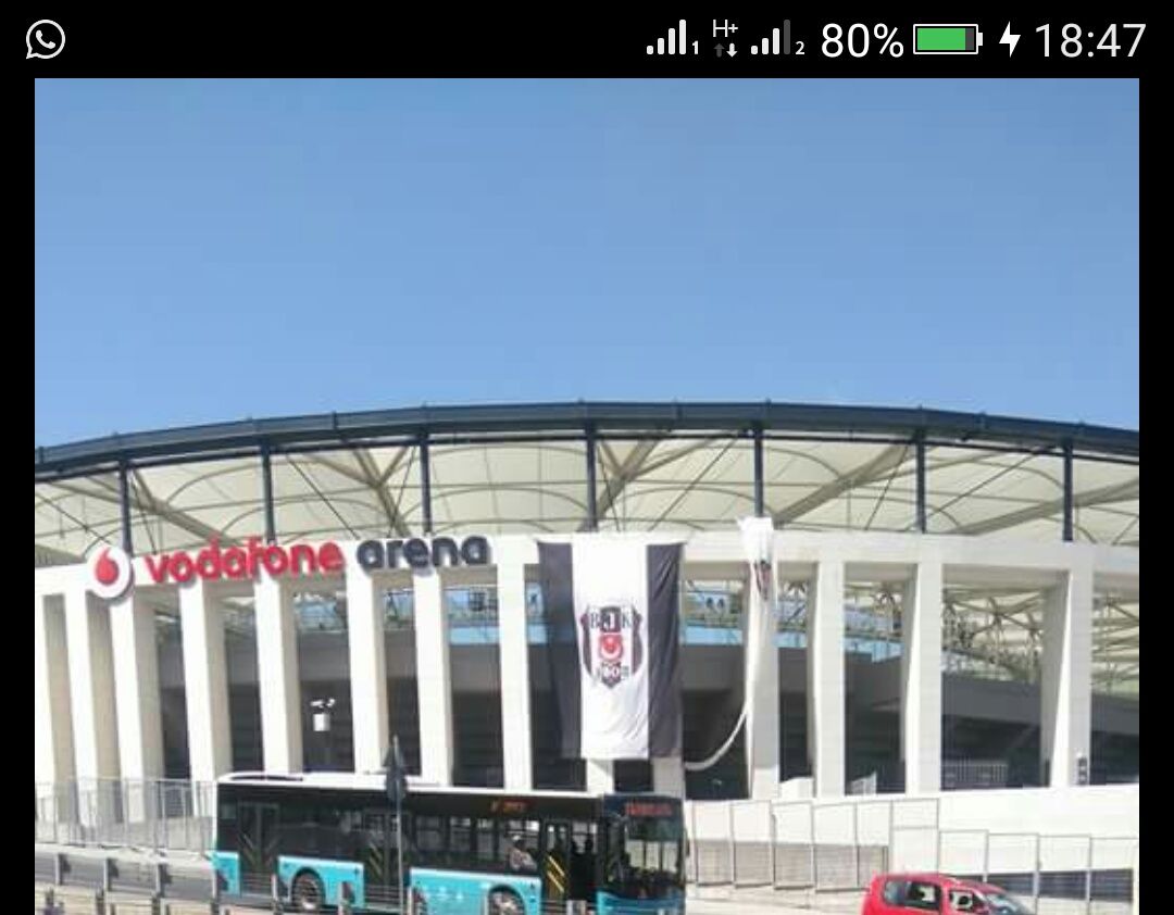 gök börü banner