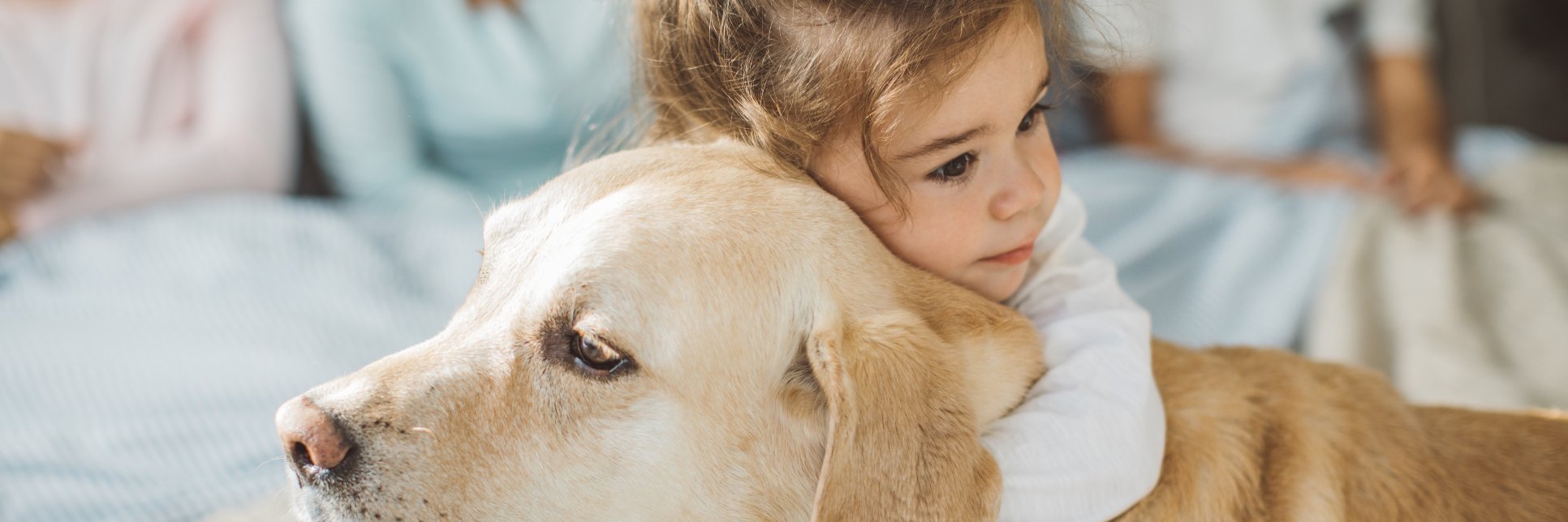 Revv Fundraising Platform banner