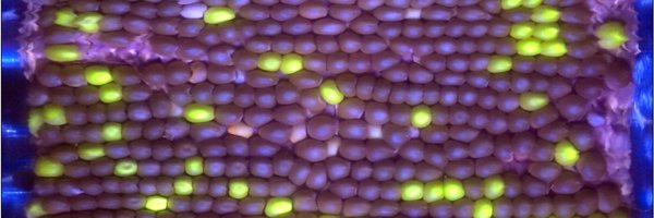 jefowlerjr Profile Banner