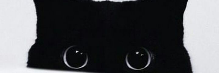 obsessivesuki's profile banner image