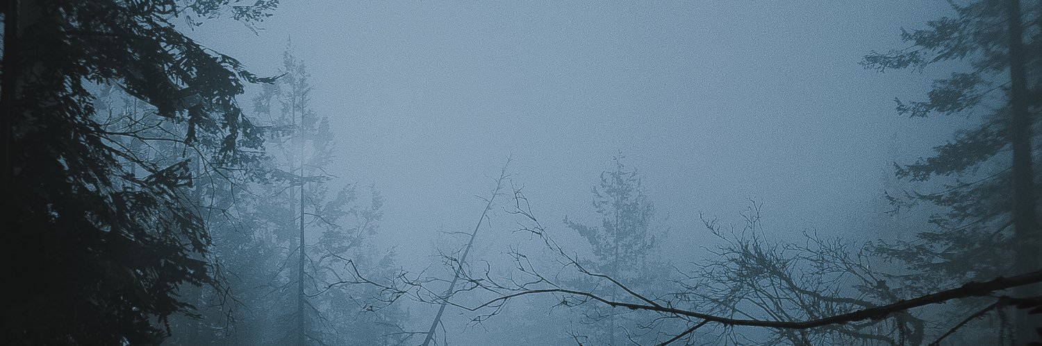 Rui_6x's profile banner image
