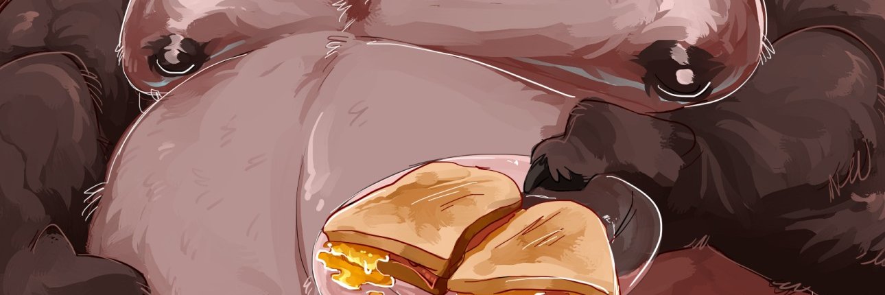 hignos's profile banner image