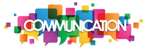 Lindsey Rapinchuk banner