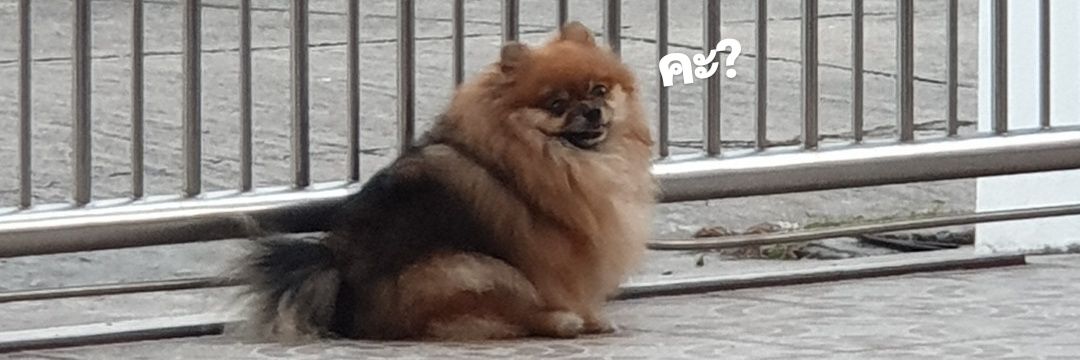 น้องนัมน่ารักทิสุดในใจมี้ banner