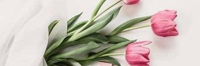 sama_peace's profile banner image