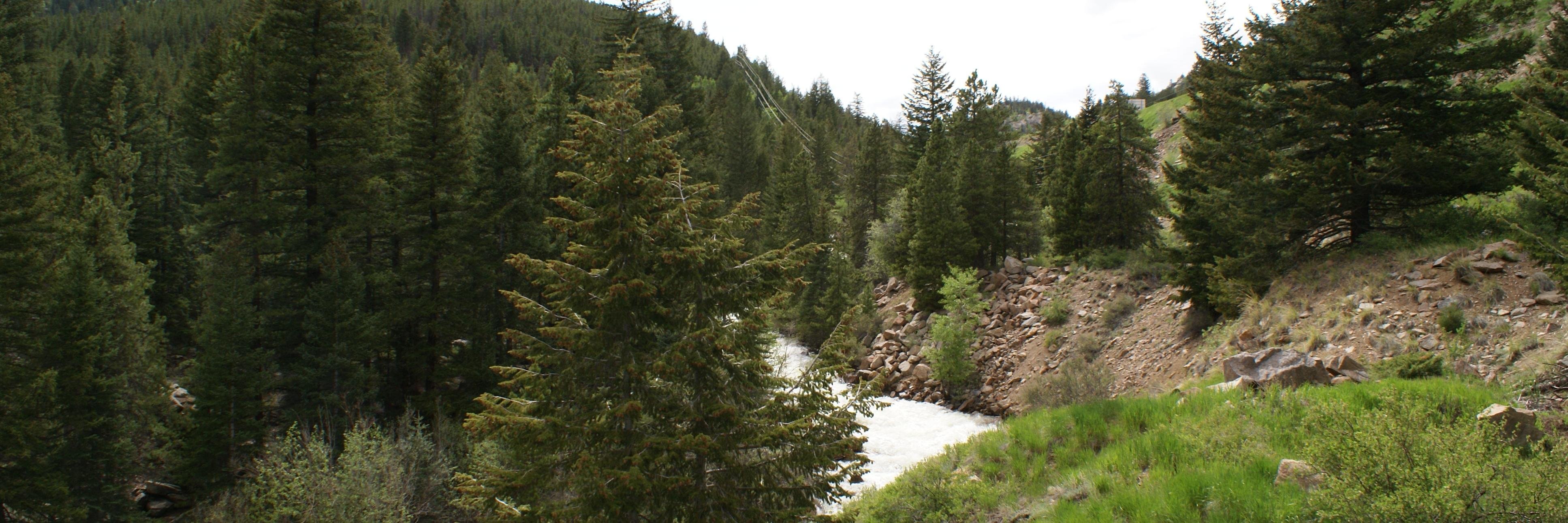 ABeardedBeerGuy's profile banner image