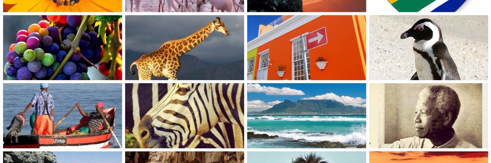 The Cape Discovered Destination Management & Tours banner