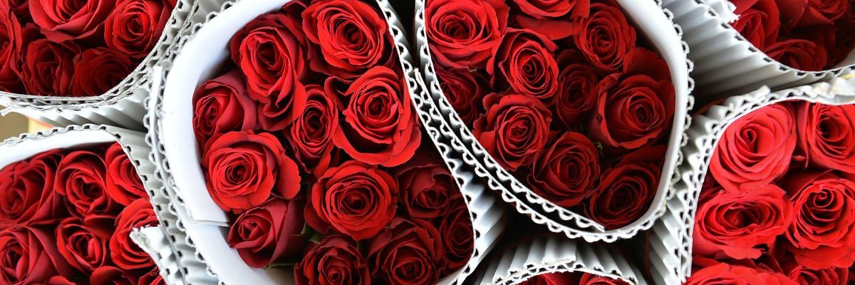 Realgyn's profile banner image