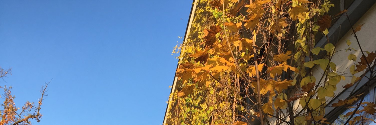 HalaszLaszlo's profile banner image