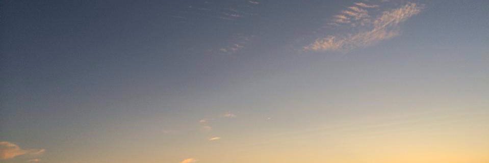 Fulvio V. Giuliani banner