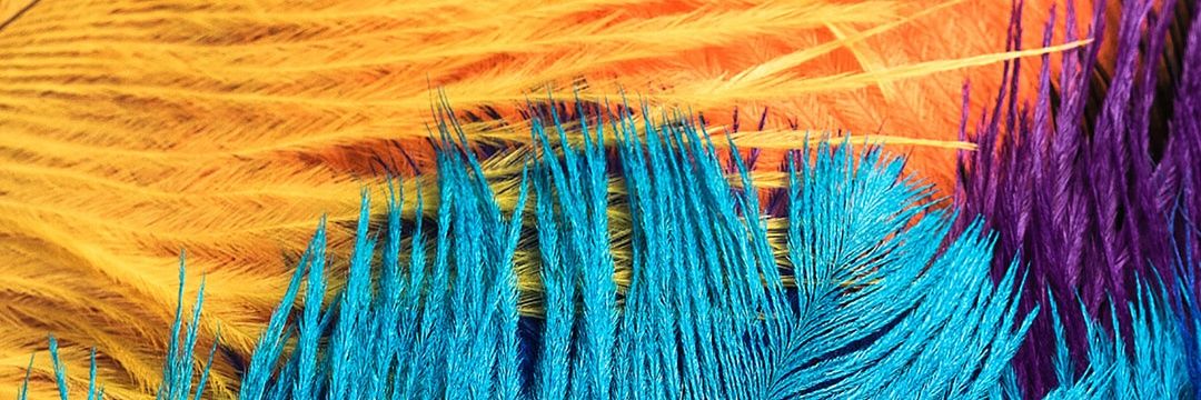 डिजिटल banner