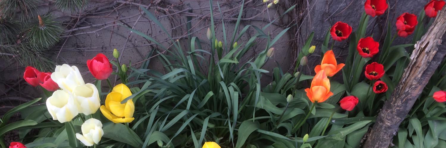 Minna Metsälä banner