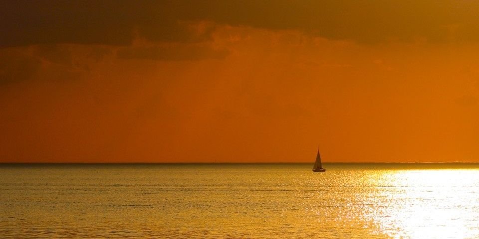 NVikusi's profile banner image