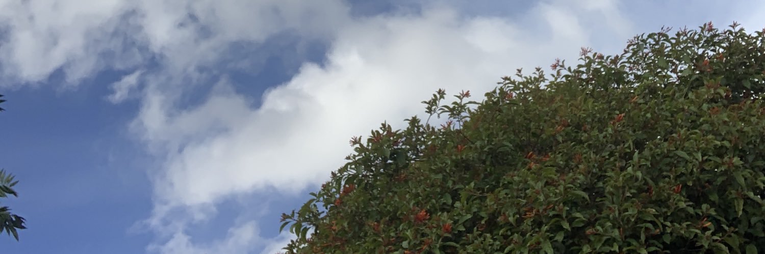 zim_radar's profile banner image