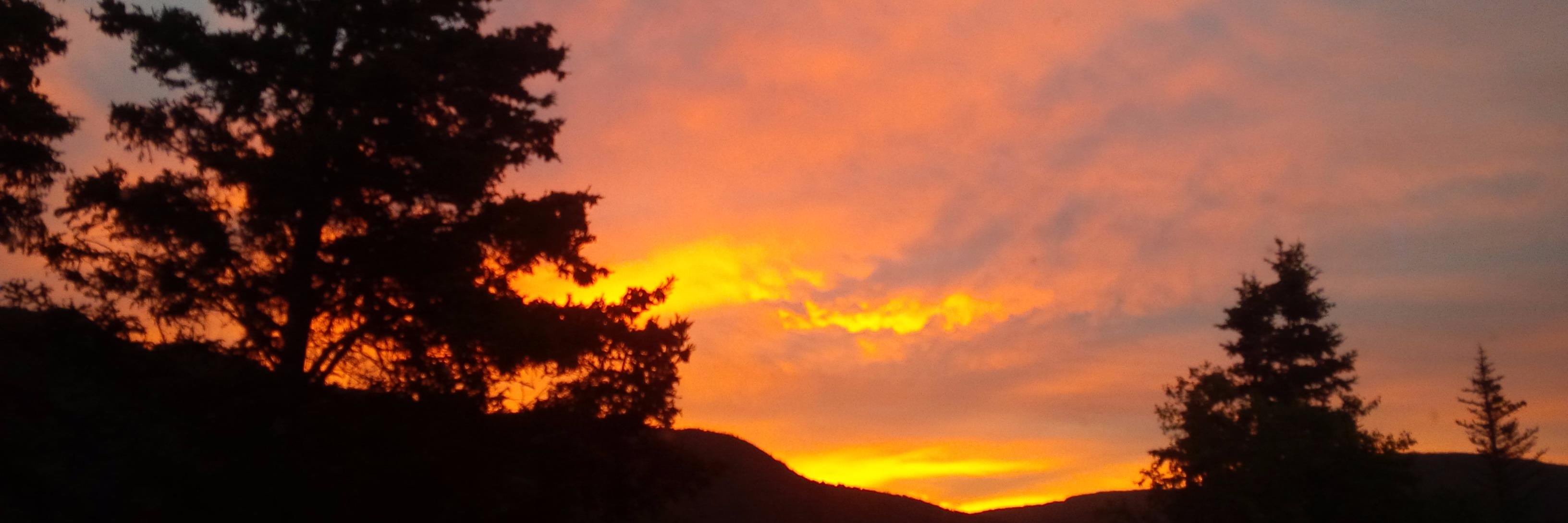 Owen Campbell banner