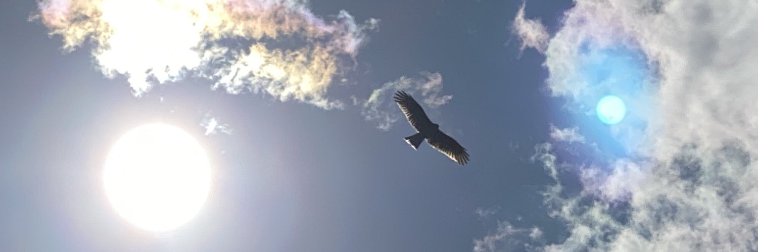 なんでも屋 banner