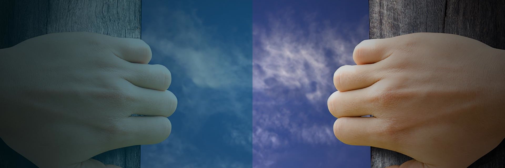 NicheConsult's profile banner image