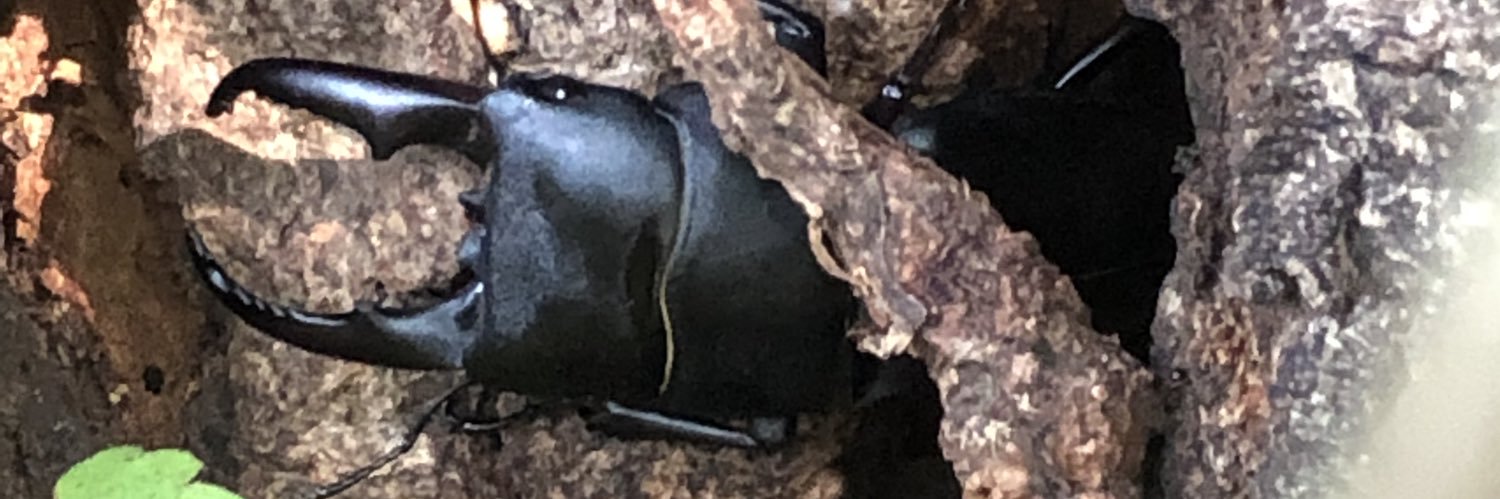 ゆうきおこい banner