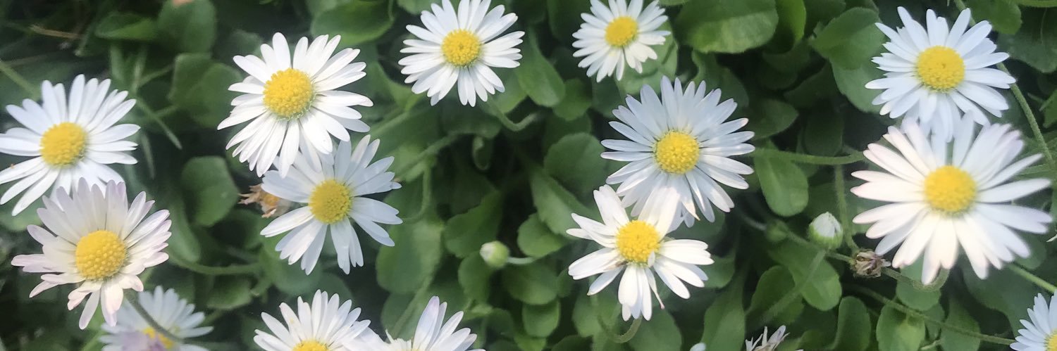 CrisMeno's profile banner image
