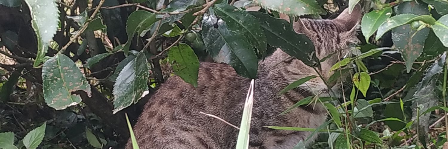 s_love47's profile banner image